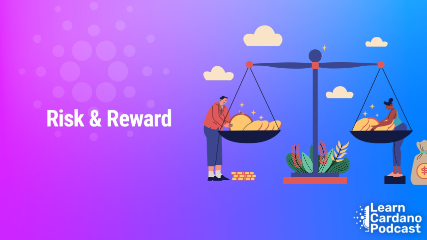 Minswap, risk and reward on using a DEX