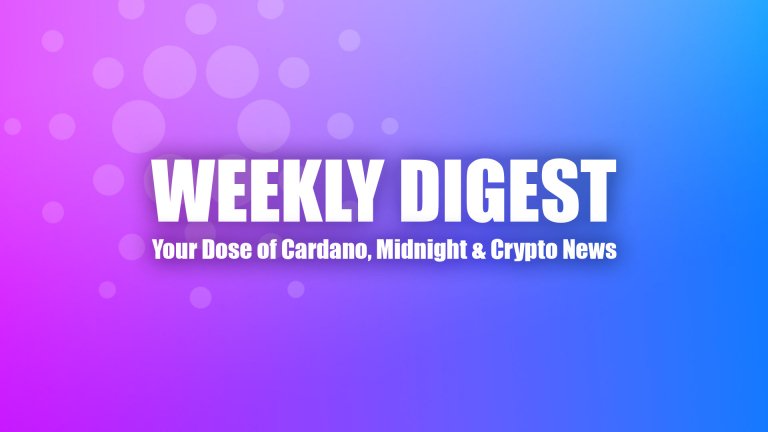 newsletter digest header