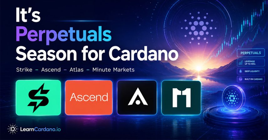 It's Perpetuals Season for Cardano 1 learn cardano perpetual season